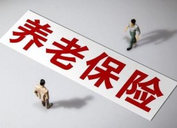 国产a级一级久久毛片,揭秘一级久久毛片背后的故事