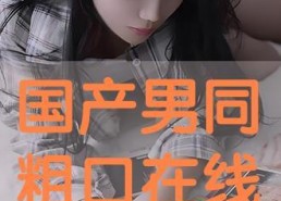 国产GAY网站,多元文化下的网络社交新趋势