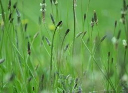 cao国产,历史、文化与现代发展的交融画卷