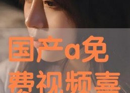 免费国产a,打造高效便捷的数字生活