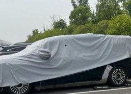 国产一级c爱,探寻中国电影中的爱情魅力