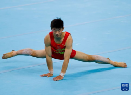 青操国产,探寻神秘东方古国的历史足迹